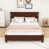 Walnut est en rupture de stock