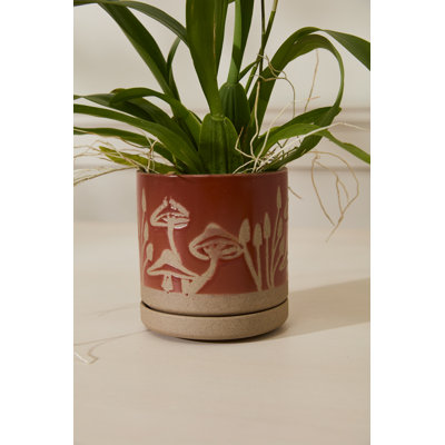 Scavenger Pot with Saucer 5"x 5.5"