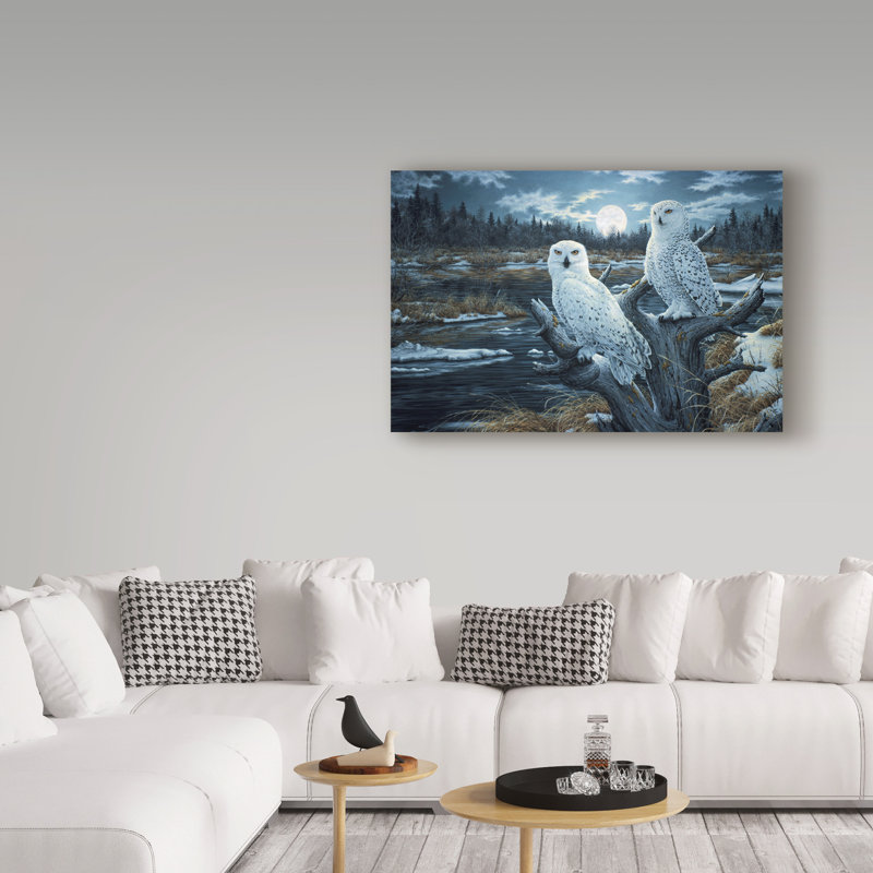 Fazulla Snowy Owls - impression sur toile tendue, H 12 po x l 19 po x p 2 po