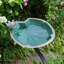 Bain d'oiseaux Lilypad avec support de fixation sur rail