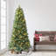 Gothurd 7' Artificial Pine Christmas Tree with Color & Clear Lights