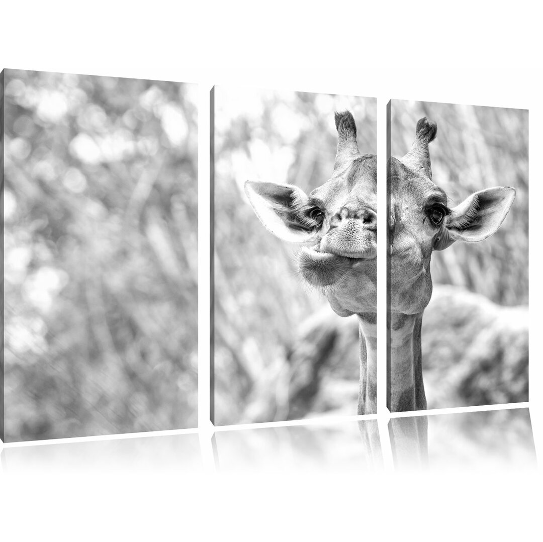 3-tlg. Leinwandbilder-Set „Giraffe in der Natur“, Fotodruck