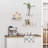 3 Piece Floating Shelf