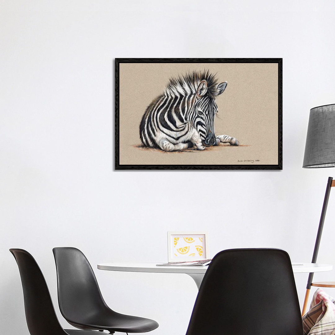 Zebra Drawing by Sarah Stribbling - Gallery-Wrapped Canvas Giclée on Canvas