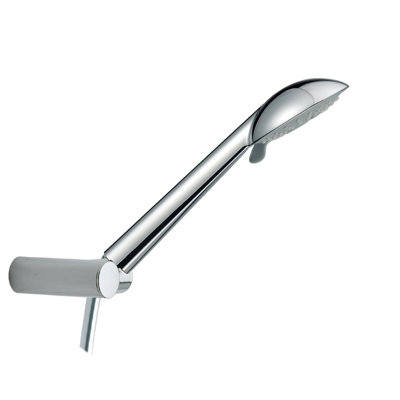 Ruthanne Handheld Shower Head