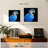 Brampt Neotropical Blue Macaw-109231724