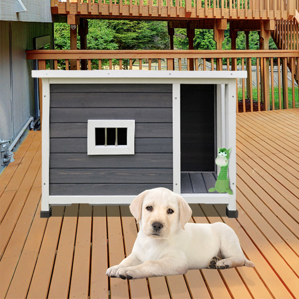 Retriever dog kennel rotating hot sale feeder