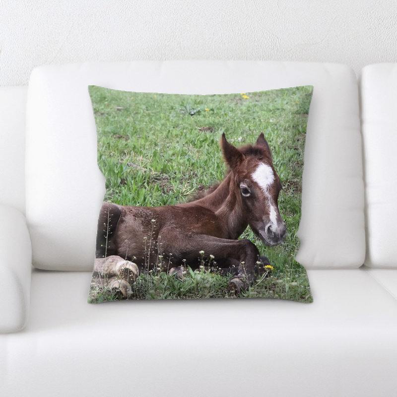 Coussin décoratif animal