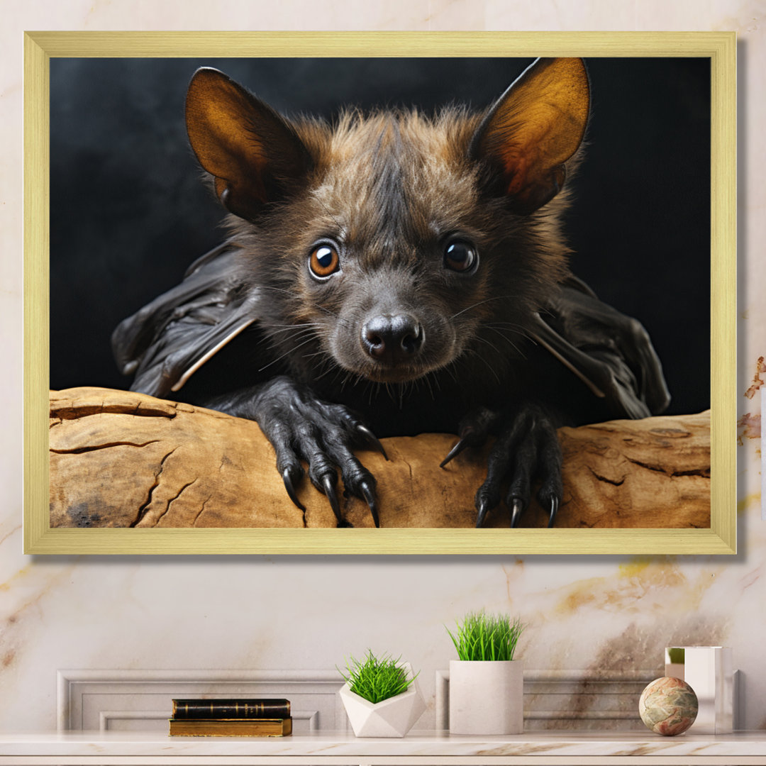 Bat Portrait I - Bat Framed Prints Latitude Run® 