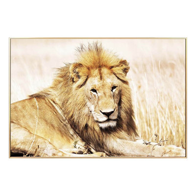 Unknown - Single Picture Frame Print on Glass