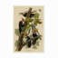 Décoration murale d'extérieur toutes saisons John James Audubon-1038472473