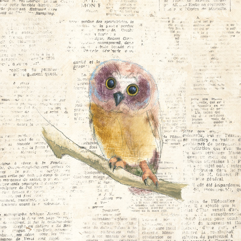 Into The Woods II No Border by Emily Adams - Wrapped Canvas Print, 122cm H x 122cm W 