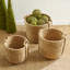3 Piece Seagrass Basket Set