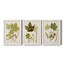 Feuilles antiques IV - ensemble de 3 peintures sur toile encadrées-1306045717-1306045718