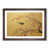 Walnut Framed