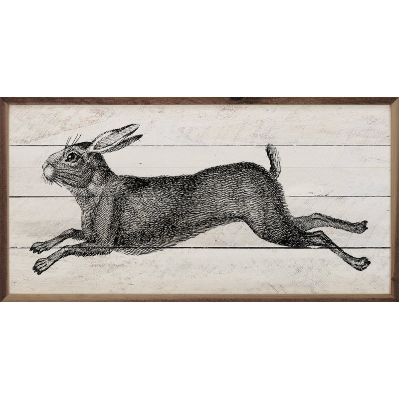 Imprimé lapin, H 20 po x l 40 po x P 1 po
