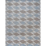 Hand Knotted Area Rug in Silver