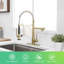 Commercial Brushed Gold Kitchen Faucet With Pull Down Sprayer,Faucet With Deck Plate,Single Handle Single Lever Kitchen Sink Faucet