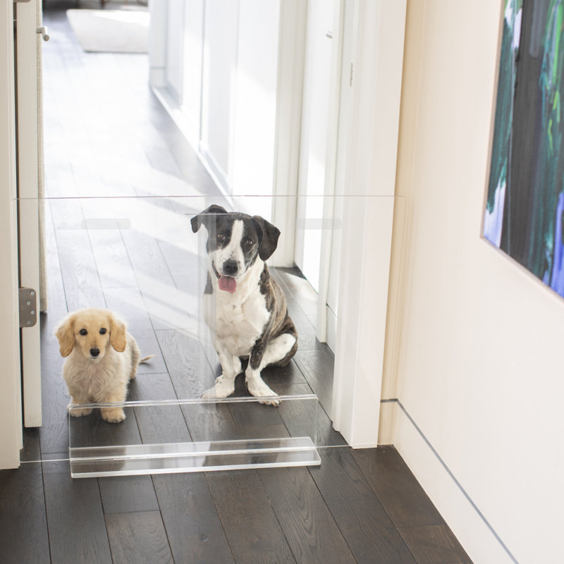Barrière pour animaux autoportante, H 30 po x l 30 po
