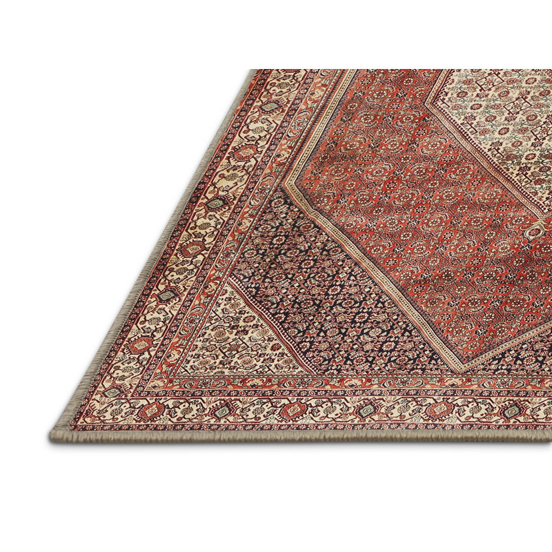 Oriental Indoor Rug, Rectangle 4' x 6'
