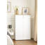 30 Pair Shoe Storage Cabinet