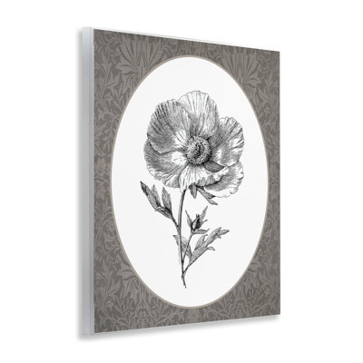 Art mural Anemone Sprig Vignette, par lettré et doublé