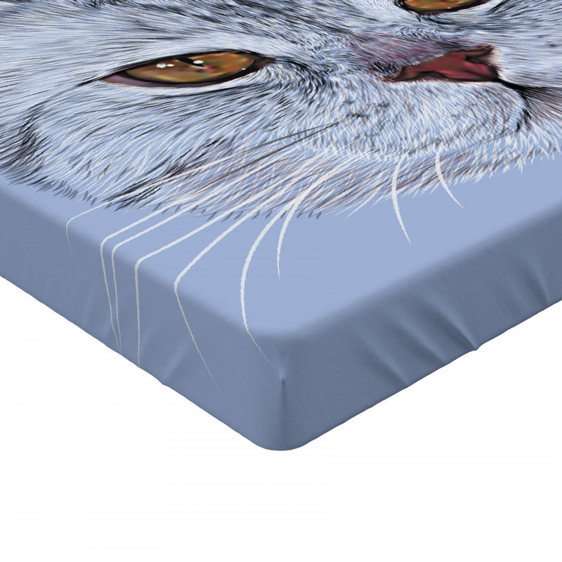 Microfiber Fitted Sheet, Queen Fitted Sheet