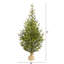 Lighted Artificial Fir Christmas Tree-1321327273