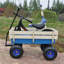 Chariot de jardin pour l'extérieur avec chariot pneumatique-113447328