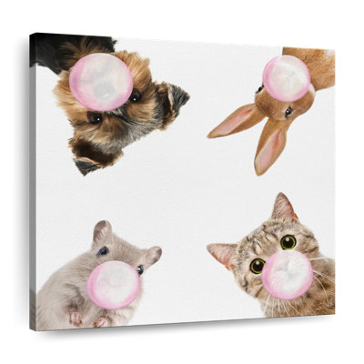 Impression sur toile Pet Bubble Gum