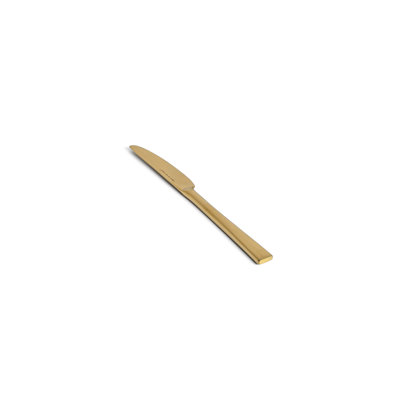 Couteau de table Parker - miroir