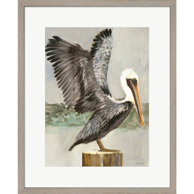 «Brown Pelican 2» par Stellar Design Studio, art mural encadré