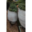 Mediterranean Fibreglass Planter-27790014