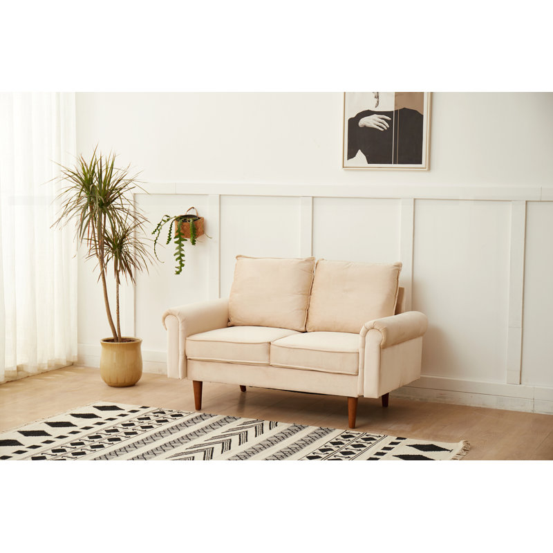 Modern Design Loveseat
