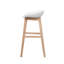 Benjamin Counter Stool with Solid Wood Frame-40153455