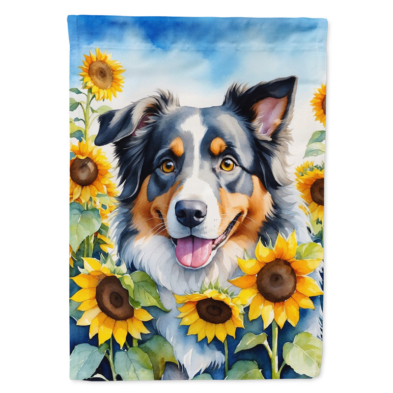 Drapeau de la maison du tournesol Malamute d'Alaska, Berger australien