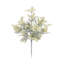 Dusty Miller Bush