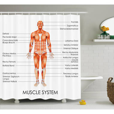 Ambesonne Shower Curtain with Hooks Included & Reviews