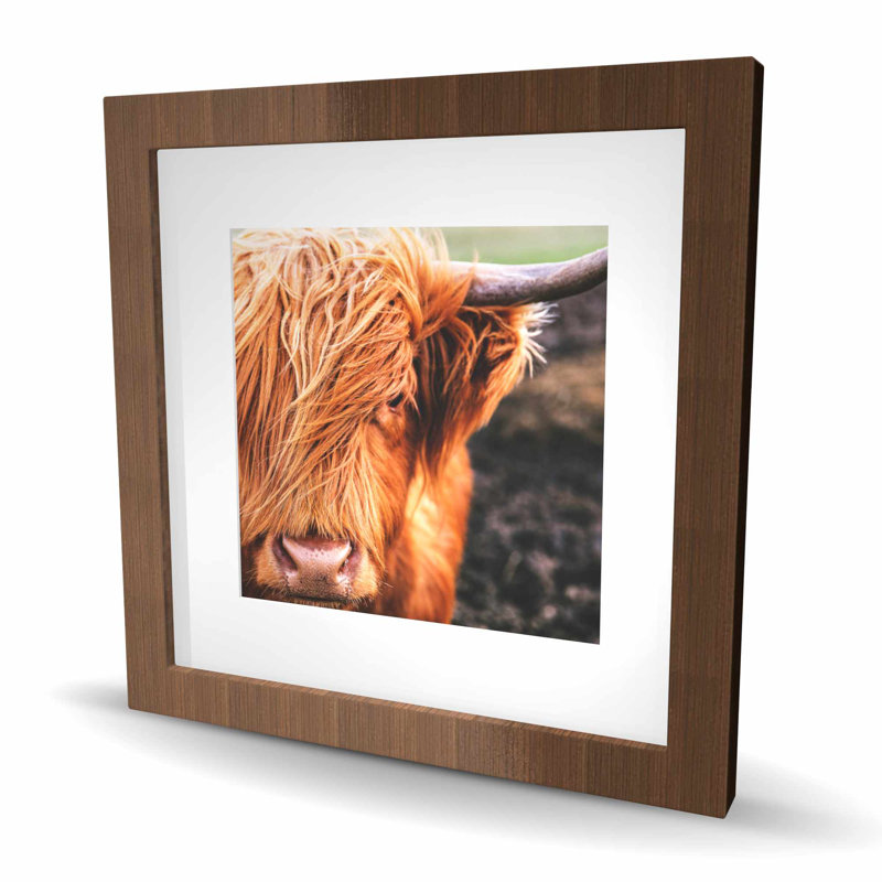 Portrait d'une vache des Highlands - animaux orange, reproduction encadrée