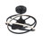 Hunter 20 inch Cirro Fandelier Ceiling Fan with LED Light Kit and Handheld Remote