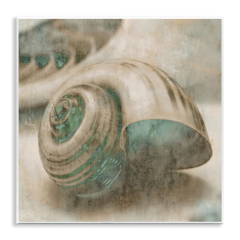 «Centered Sharkeye Seashell Texture patiné bleu clair» par Ziwei Li - impression d'art graphique
