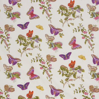 Baudin Butterfly Chintz Fabric