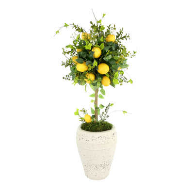 Lemons and Vine Topiary in a Stone Planter