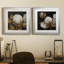 Cotton Balls I - Cadre photo-1492861062-1492861061-1492861060