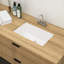 Lavabo de salle de bain encastré 21 po x 13 po Skyline H-LUF1812-BIN