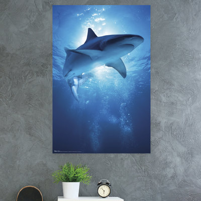 Animals Paper Print