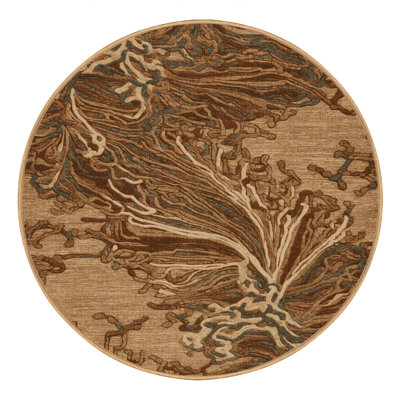 Machine Washable Nature Brown Area Rug
