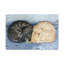 Wall Art on Canvas-821741335