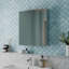Courteny 600mm W 670mm H Wall Mounted Required Medicine Cabinet Mirror