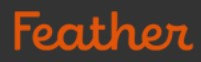 Feather Chair logo